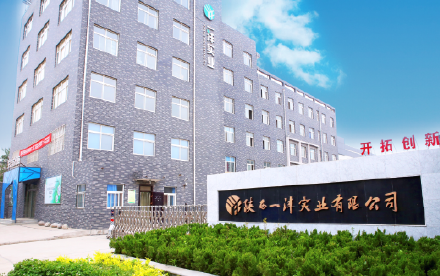 陕西一沣实业