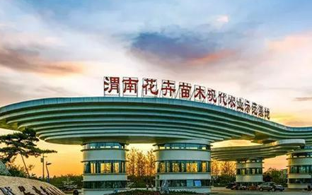 陕西花卉苗木现代农业示范基地