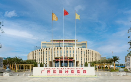 广西国际壮医医院