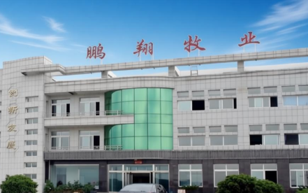 吉林东丰鹏翔牧业